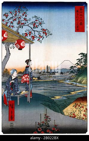 Japan: Inhaltsverzeichnis. Ukiyo-e Holzschnitt aus der Serie „36 Views of Mount Fuji“ von Utagawa Hiroshige (1797-1858), 1858. Sechsunddreißig Ansichten des Fuji ist der Titel zweier Holzschnitte des japanischen Ukiyo-e-Künstlers Andō Hiroshige, die den Fuji in unterschiedlichen Jahreszeiten und Wetterbedingungen aus verschiedenen Orten und Entfernungen darstellen. Die Serie 1852 ist im Querformat, die Serie 1858 im Hochformat ausgerichtet. Stockfoto