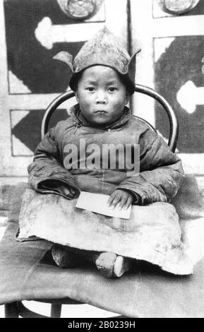 Der 14. Dalai Lama (Religiöser Name: Tenzin Gyatso, verkürzt von Jetsun Jamphel Ngawang Lobsang Yeshe Tenzin Gyatso, geborene Lhamo Dondrub, 6. Juli 1935) ist der 14. Und aktuelle Dalai Lama. Dalai Lamas sind die einflussreichste Persönlichkeit in der Gelugpa-Linie des tibetischen Buddhismus, obwohl der 14. Die Kontrolle über die anderen Linien in den letzten Jahren gefestigt hat. 1989 gewann er den Friedensnobelpreis und ist auch für sein lebenslanges Eintreten für Tibeter innerhalb und außerhalb Tibets bekannt. Die Tibeter glauben traditionell, dass er die Reinkarnation seiner Vorgänger und eine Manifestation des Buddha ist Stockfoto