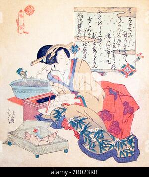 Totoya Hokkei war ein japanischer Druckerei-Zeichner und Buchillustrator. Er studierte zunächst Malerei bei Kano Yesen (1735-1808), dem Leiter der Kobikicho-Filiale der Kano-Schule und Okaeshi (offizieller Maler) beim Tokugawa-Shogunat. Zusammen mit Teisai Hokuba (1771-1844) war Hokkei einer der besten Schüler von Katsushika Hokusai. Stockfoto