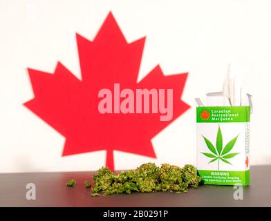 Cannabis in Kanada. Ein Paket von Cannabis Zigaretten auf dem Tisch, mit einem Kanadischen maple leaf hinter sich. Marihuana Knospen auf den Tisch. Stockfoto