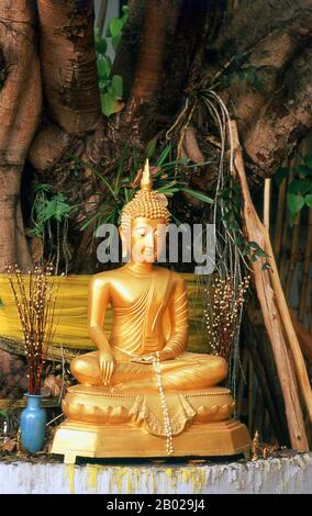 Wat Phan Tao, 1391 gegründet, bildet eine Art Anhang zu dem viel größeren Wat Chedi Luang, der neben der Tür und unmittelbar im Süden liegt. Wat Phan Tao bedeutet "Tempel der Tausend Öfen" oder "Tempel der Tausend Brennöfen", und es wird angenommen, dass das Gelände einst der Standort einer Gießerei war und Bronzebilder des Buddha für den nahe gelegenen Wat Chedi Luang goss. Der Holzviharn ist eines der wenigen erhaltenen Ganzholztempelgebäude in Chiang Mai. In früheren Zeiten war es eine säkulare Struktur ohne religiöse Bedeutung, das ho kham oder der "vergoldete Saal" von Chao Mahawong, dem 5. Der Chao Chet Ton Monarchen, Stockfoto