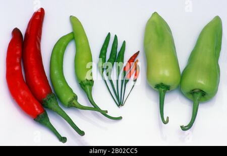 Thailand: Chili und Piment-Paprika. Der Chili-Pfeffer, oder in vielen Ländern einfach Chili, ist der Fruchtteil der Gattung Capsicum, die wiederum aus der größeren Nachtschattenfamilie der Solanaceae stammt. Der Name leitet sich vom mittelmexikanischen Nahuatl-Wort Chili ab. Obwohl sie heute in der ganzen Welt angebaut werden, stammten Chilis ursprünglich aus Amerika, bevor sie nach der Columbian Exchange, die nach Christoph Columbus’ Entdeckung Amerikas im Jahr 1492 stattfand, weltweit ausgeliefert und gehandelt wurden. Es werden fünf domestizierte Arten von Chilischoten angebaut. Stockfoto