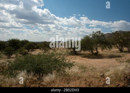 Erongo Mountains Nature Conservancy Stockfoto