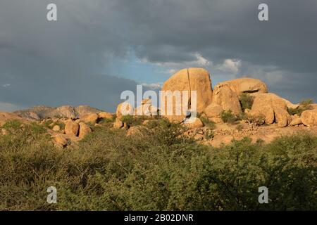 Erongo Mountains Nature Conservancy Stockfoto