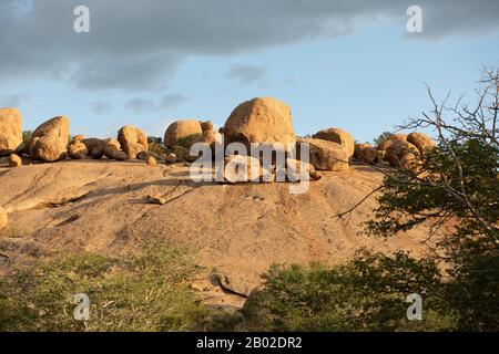 Erongo Mountains Nature Conservancy Stockfoto