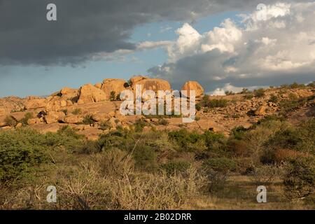Erongo Mountains Nature Conservancy Stockfoto