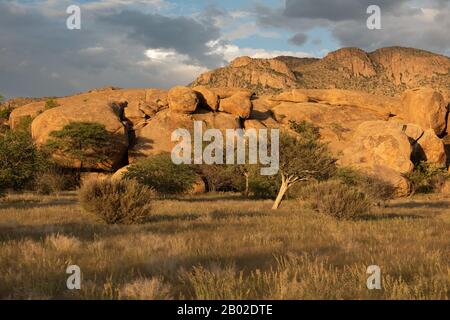 Erongo Mountains Nature Conservancy Stockfoto