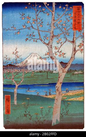 Sechsunddreißig Ansichten des Fuji (japanisch: 富士三十六景; Fuji Sanjū-Rokkei) ist der Titel zweier Holzblockdrucke des japanischen Ukiyo-e-Künstlers Andō Hiroshige, die den Fuji in verschiedenen Jahreszeiten und Wetterbedingungen von verschiedenen Orten und Entfernungen darstellen. Die Serie von 1852 ist im Querformat ausgerichtet, die Serie von 1858 im Hochformat. Utagawa Hiroshige (歌川 広重, * um die Welt der Künstler) (* um die Welt der  ; † 12. Oktober 1858) war ein japanischer Ukiyo-e-Künstler und einer der letzten großen Künstler dieser Tradition. Er wurde auch als Andō Hiroshige (安藤 広重) bezeichnet (eine unregelmäßige Kombination von Familiennamen und Stockfoto