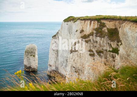 Kreide-Stack an Old Harry Rocks, Dorset, England Stockfoto