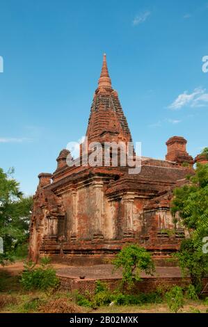 Der Tempel von Gubyaukgyi, in der Nähe des Dorfes Wetkyi, zeigt einen starken indischen Einfluss. Seine Turmspitze ist nicht die übliche Zikada-Form, sondern gerade und verjüngt sich wie die der Maha Bodhi Pagode in Bagan. Der Tempel von Gubyaukgyi wurde 1468 wiederhergestellt. Im Inneren befinden sich die Überreste von Tempera-Wandbildern, darunter ein charmanter Gautama-Buddha während seiner Inkarnation als Einsiedler, der mit seiner Mutter spaziert, sowie ein Fries der 28 Buddhas (24 stammen aus früheren kosmischen Welten, während die letzten vier aus dem gegenwärtigen Weltzyklus stammen. Gautama ist der 28. Buddha). Jeder sitzt unter einem anderen Baum, fo Stockfoto