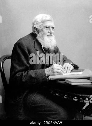 Alfred Russel Wallace OM FRS (8. Januar 1823 - 7. November 1913) war ein britischer Naturforscher, Entdecker, Geograph, Anthropologe und Biologe. Er ist am bekanntesten dafür, dass er die Evolutionstheorie durch natürliche Auswahl unabhängig konzipiert hat; sein Papier zu diesem Thema wurde gemeinsam mit einigen der Schriften Charles Darwins im Jahr 1858 veröffentlicht. Dies veranlasste Darwin, seine eigenen Ideen zur Entstehung Von Arten in zu veröffentlichen. Wallace machte umfangreiche Feldarbeiten, zuerst im Amazonas-Flussbecken und dann im Malaiischen Archipel, wo er die Faunenkluft identifizierte, die jetzt Wallace-Linie genannt wird, die den In trennt Stockfoto