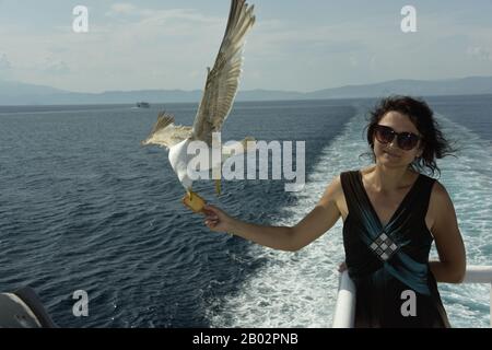 Frau füttert Möwen auf einer Fähre von Kavala nach Thassos. Möwen fliegen über den Himmel, um Nahrung aus den Händen der Passagiere zu nehmen. Ägeisches Meer, Griechenland Stockfoto