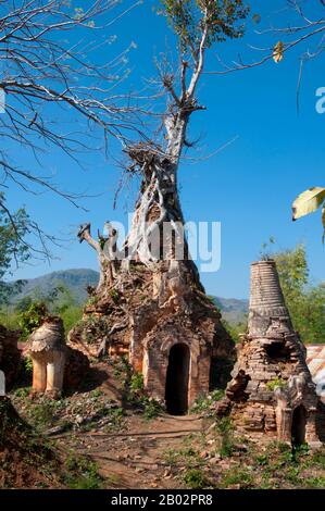 Die Shwe Indein Pagode ist eine Sammlung buddhistischer Stupas aus dem 17. Und 18. Jahrhundert. Der Inle Lake ist ein Süßwassersee, der in der Nyaungshwe Township des Taunggyi Distrikts Shan State, einem Teil der Shan Hills in Myanmar (Birma), liegt. Er ist der zweitgrößte See in Myanmar mit einer geschätzten Fläche von 44,9 Quadratmeilen (116 km2) und einer der höchsten mit einer Höhe von 2.900 Fuß (880 m). Die etwa 70.000 Einwohner des Inle Lake (Intha genannt) leben in vier an den See grenzenden Städten, in zahlreichen kleinen Dörfern am Ufer des Sees und am See selbst. Das gesamte Stockfoto