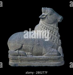 Nandi oder Nandin (Tamil: நந்தி Sanskrit: नंदी) ist die Bezeichnung für den Stier, der als Berg (Sanskrit: vāhana) von Shiva und als Gatter von Shiva und Parvati in der hinduistischen Mythen dient. Tempel, die Shiva und Parvati verehren, zeigen Steinbilder eines sitzenden Nandi, der im Allgemeinen dem Hauptschrein zugewandt ist. Es gibt auch eine Reihe von Tempeln, die ausschließlich Nandi gewidmet sind. Stockfoto