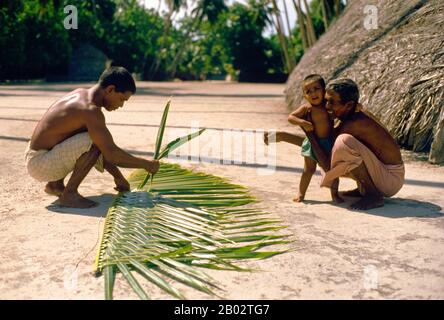 Asiens kleinste und am wenigsten bekannte Nation, die Republik Malediven, liegt verstreut von Nord nach Süd über einen 750 Kilometer langen Lauf des Indischen Ozeans 500 Kilometer südwestlich von Sri Lanka. Mehr als 1000 Inseln, zusammen mit unzähligen Ufern und Riffen, sind in einer Kette von neunzehn Atollen zusammengefasst, die sich von einem Punkt westlich von Colombo bis unmittelbar südlich des Äquators erstreckt. Die Atolle, die aus großen Korallenringen auf der Grundlage des U-Boots Laccadive-Chagos-Grat gebildet wurden, variieren stark in der Größe. Einige sind nur wenige Kilometer groß, im äußersten Süden liegt das große Atoll von Suvadiva bei 65 Kilometern Stockfoto
