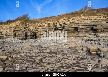 Nash Point Coastline Kalksteinpflaster Felsformationen Geologie geologische Formationen, Fossilien, Felsenpools, glamorgan Heritage Coast South wales UK gb Stockfoto