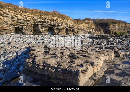 Nash Point Coastline Kalksteinpflaster Felsformationen Geologie geologische Formationen, Fossilien, Felsenpools, glamorgan Heritage Coast South wales UK gb Stockfoto