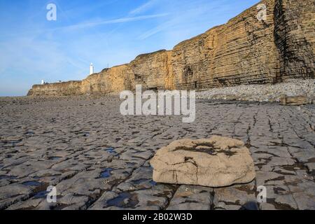 Nash Point Coastline Kalksteinpflaster Felsformationen Geologie geologische Formationen, Fossilien, Felsenpools, glamorgan Heritage Coast South wales UK gb Stockfoto