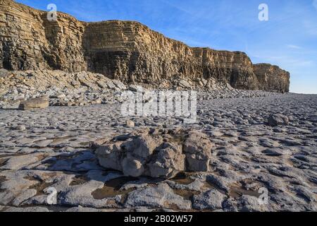 Nash Point Coastline Kalksteinpflaster Felsformationen Geologie geologische Formationen, Fossilien, Felsenpools, glamorgan Heritage Coast South wales UK gb Stockfoto