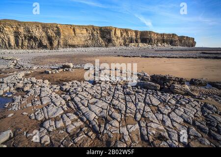 Nash Point Coastline Kalksteinpflaster Felsformationen Geologie geologische Formationen, Fossilien, Felsenpools, glamorgan Heritage Coast South wales UK gb Stockfoto