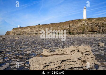 Nash Point Coastline Kalksteinpflaster Felsformationen Geologie geologische Formationen, Fossilien, Felsenpools, glamorgan Heritage Coast South wales UK gb Stockfoto