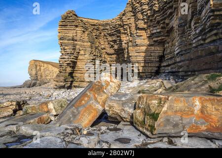 Nash Point Coastline Kalksteinpflaster Felsformationen Geologie geologische Formationen, Fossilien, Felsenpools, glamorgan Heritage Coast South wales UK gb Stockfoto