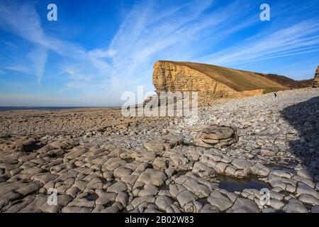 Nash Point Coastline Kalksteinpflaster Felsformationen Geologie geologische Formationen, Fossilien, Felsenpools, glamorgan Heritage Coast South wales UK gb Stockfoto