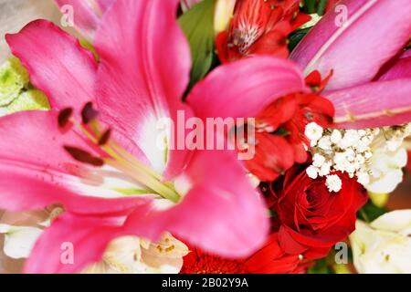 Blumenstrauß aus roten, rosafarbenen und weißen Blumen Stockfoto