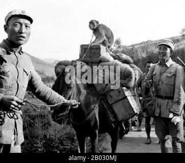 China Burma India Theatre (CBI) war die Bezeichnung, die von der United States Army für ihre Streitkräfte verwendet wurde, die im zweiten Weltkrieg zusammen mit den britischen und chinesischen alliierten Luft- und Landstreitkräften in China, Birma und Indien tätig waren Zu den bekannten US-Einheiten in diesem Theater gehörten die Flying Tigers, Transport- und Bombereinheiten, die den Hump fliegen, die 1st Air Commando Group, die Ingenieure, die Ledo Road gebaut haben, und die 5307th Composite Unit (Provisional), die ansonsten als Merrill's Marauders bekannt war. Stockfoto