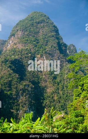 Der Khao Sok Nationalpark bildet den größten und dramatischsten Teil des Urwaldes in Südthailand. Dieser 160 Millionen Jahre alte Regenwald gehört zu den ältesten der Welt. Das Klima in der Gegend ist von den vergangenen Eiszeiten relativ unbeeinflusst, da die Landmasse relativ klein ist und es auf beiden Seiten Meere gibt. Elefanten, Tiger, Bären, Wildschweine, Tapire Gibbons und Affen leben im Park, zusammen mit mehr als 300 Arten von Vögeln, darunter seltene Hornbills und argus-fasane. Sichtungen der größeren Tiere sind in der Regel nachts, und entlang der Parkansichten werden regelmäßig Tierspuren gesehen Stockfoto