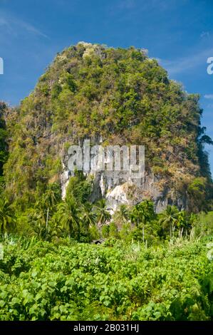 Der Khao Sok Nationalpark bildet den größten und dramatischsten Teil des Urwaldes in Südthailand. Dieser 160 Millionen Jahre alte Regenwald gehört zu den ältesten der Welt. Das Klima in der Gegend ist von den vergangenen Eiszeiten relativ unbeeinflusst, da die Landmasse relativ klein ist und es auf beiden Seiten Meere gibt. Elefanten, Tiger, Bären, Wildschweine, Tapire Gibbons und Affen leben im Park, zusammen mit mehr als 300 Arten von Vögeln, darunter seltene Hornbills und argus-fasane. Sichtungen der größeren Tiere sind in der Regel nachts, und entlang der Parkansichten werden regelmäßig Tierspuren gesehen Stockfoto