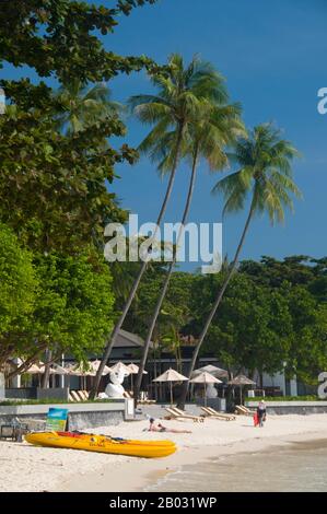 Der Samui-Archipel wurde in den 1970er Jahren erstmals als Paradies für Budgetreisende 'discovert', ist seitdem aber stark nach oben gerückt. Zusammen mit Phuket ist die Hauptinsel der Gruppe, Ko Samui, Thailands wichtigstes Strandresort und eine wirklich schöne Insel. Die wichtigsten Reiseziele am Meer sind Chaweng Beach an der Ostküste der Insel und Lamai an der Südküste. Die Insel ist von einer gepflegten, gepflegten Straße umrungen, und das bergige Innere ist einfach mit mehr Kokospalmen gefüllt, als man sich vorstellen kann. Stockfoto