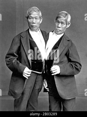 Chang und eng Bunker (* 11. Mai, † 17. Januar 1874) waren thailändisch-amerikanische Zwillingsbrüder, deren Zustand und Geburtsort die Grundlage für den Begriff "schiamesische Zwillinge" wurden. Die Bunkerbrüder wurden am 11. Mai im Königreich Siam (dem heutigen Thailand) in der Provinz Samutsongkram in der Nähe von Bangkok geboren. Ihr Fischervater war ein Chinesischai-Thailänder, während ihre Mutter Chinesisch-Malaysia war. Aufgrund ihres chinesischen Erbes wurden sie lokal als "Chinese Twins" bekannt. Die Brüder wurden am Sternum durch ein kleines Stück Knorpel verbunden, und obwohl ihre Leber verschmolzen war, waren sie Stockfoto