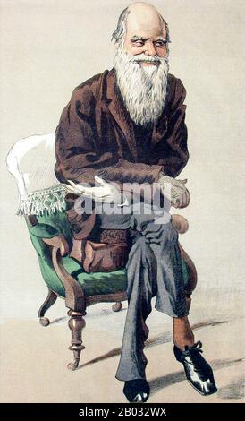 Charles Robert Darwin, FRS (12. Februar 1809 - 19. April 1882) war ein englischer Naturforscher und Geologe, der vor allem für seine Beiträge zur Evolutionstheorie bekannt ist. Er stellte fest, dass alle Lebensarten im Laufe der Zeit von gemeinsamen Vorfahren abstammen, Und in einer gemeinsamen Veröffentlichung mit Alfred Russel Wallace führte er seine wissenschaftliche Theorie ein, dass dieses Verzweigungsmuster der Evolution aus einem Prozess resultierte, den er natürliche Auswahl nannte, bei dem der Kampf um Existenz eine ähnliche Wirkung hat wie die künstliche Auswahl, die in der selektiven Züchtung involviert ist. Darwin veröffentlichte seine Evolutionstheorie mit Co Stockfoto