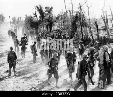 Die Schlacht von Peleliu wurde von September bis November 1944 auf der Insel Peleliu (im heutigen Palau) zwischen den Vereinigten Staaten und dem Kaisertum Japan im Pazifiktheater des zweiten Weltkriegs ausgetragen. US-Marines der First Marine Division und spätere Soldaten der 81st Infantry Division der US Army kämpften um die Einnahme eines Flugstreifens auf der kleinen Koralleninsel. Diese Schlacht war Teil einer größeren Offensivkampagne, die als Operation Forager bekannt war und von Juni bis November 1944 im Pacific Theatre of Operations lief. Stockfoto