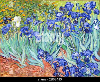 Irises ist eines von vielen Gemälden und Drucken von Irienen des niederländischen Künstlers Vincent van Gogh. Irisse wurden gemalt, während Vincent van Gogh im Asyl in Saint Paul-de-Mausole in Saint-Rémy-de-Provence, Frankreich, im letzten Jahr vor seinem Tod im Jahr 1890 lebte. Das Gemälde wurde von japanischen Ukiyo-e-Holzholzdrucken wie viele seiner Werke und von anderen Künstlern der Zeit beeinflusst. Die Ähnlichkeiten treten bei starken Umrissen, ungewöhnlichen Winkeln, einschließlich Nahansichten, und auch bei flacher lokaler Farbe auf (nicht nach Lichtfall modelliert). Stockfoto