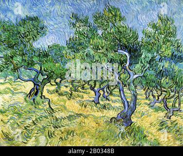 Vincent van Gogh malte mindestens 18 Gemälde von Olivenbäumen, überwiegend in Saint-Rémy-de-Provence im Jahr 1889. Auf eigenen Wunsch lebte er dort von Mai 1889 bis Mai 1890 in einem Asyl, in dem er die Gärten des Asyls malte und, als er die Erlaubnis hatte, sich außerhalb seiner Mauern, nahe gelegenen Olivenbäumen, Zysten und Weizenfeldern zu wagen. Dieses Gemälde, "Olive Orchard", gilt allgemein als beeinflusst von Utagawa Hiroshige's 'Maiko Beach' (Harima, Maiko auf hama), um die es von Van Goghs Japonaiserie stammt. Stockfoto