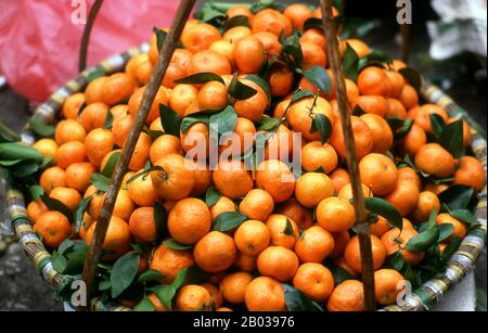 Die Mandarinorange (Citrus reticulata), auch Mandarine oder Mandarine genannt, ist ein kleiner Zitrubaum mit Früchten, die anderen Orangen ähneln, die normalerweise einfach oder in Fruchtsalaten gegessen werden. Dong Xuan Market wurde ursprünglich von der französischen Verwaltung im Jahre 1889 im Alten Viertel von Hanoi gebaut, als die beiden Hauptmarktplätze der Stadt, einer an Der Hang Duong Street und der andere an Der Hang Ma Street, geschlossen wurden. Das erkennbarste Merkmal des Marktes war der 5-Bogeneingang, der den fünf Kuppeln des Dong Xuan Marktes entspricht. Stockfoto