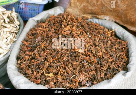 Illicium verum ist ein mittelgroßer immergrüner Baum, der im Nordosten Vietnams und im Südwesten Chinas heimisch ist. Ein Gewürz, das im Allgemeinen als Sternanis, Staranise, Sternanisamen, Chinesischsternanis oder Badiam bezeichnet wird und dem Anis im Geschmack stark ähnelt, wird aus den sternförmigen Perikarps der Früchte von Illicium Verum gewonnen, die kurz vor der Reifung geerntet werden. Chợ Lớn ist eine von China geprägte Sektion der Ho-Chi-Minh-Stadt (ehemaliges Saigon). Es liegt am Westufer des Saigon River und hat den Markt Bình Tây als zentralen Markt. Cholon besteht aus der westlichen Hälfte des Distrikts 5 sowie mehreren angrenzenden Neigh Stockfoto