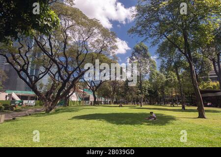 Metro Manila, Philippinen - Februar, 12. 2020: Ayala Triangle Gärten und Park in Makati, an einem sonnigen Tag Stockfoto