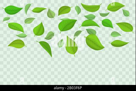 Abfallende grüne Blätter isoliert auf transparentem Hintergrund. Vektorgrafik Satz von federfliegenden, fallenden grünen Blättern, Texturelemente für Grafik d Stock Vektor