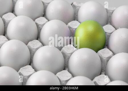 Gelb-grünes, goldgefärbtes Osterei in einer Schachtel mit identischen weißen Eiern, Gruppe, Differenz. Symbol der Individualität. Konzept für Ostern Stockfoto