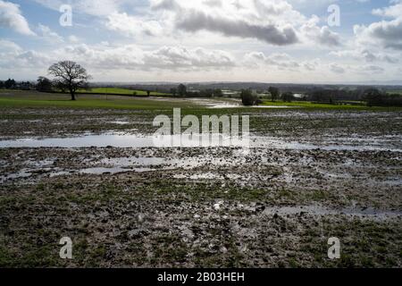 Blick über überflutete und wasserabweisende Felder von Shropshire nach dem Sturm Dennis. Schlamm und Wasserbecken in der Nähe der Kamera und Flutwasser. Stockfoto