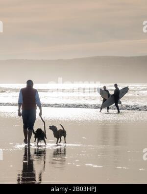 Surfer und Hundewanderer genießen Spaziergänge am Strand in Godrevy, Cornwall, England. Stockfoto