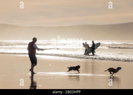 Surfer und Hundewanderer genießen Spaziergänge am Strand in Godrevy, Cornwall, England. Stockfoto