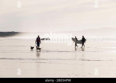 Surfer und Hundewanderer genießen Spaziergänge am Strand in Godrevy, Cornwall, England. Stockfoto