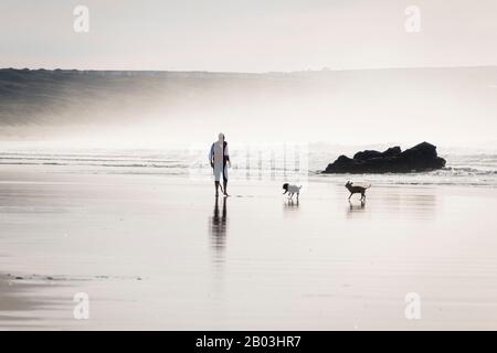 Mann, der seine Hunde (einer von ihnen dreibeinige) in der Brandung am Strand von Gwithian, Cornwall, spazieren ließ. Stockfoto