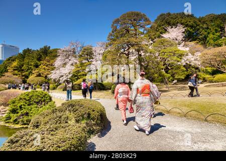 April 2019: Tokio, Japan - Kimono, der Touristen im Shinjuku Gyoen Park, einem der berühmtesten Parks in Japan, in der Kirschblütensaison trägt. Stockfoto