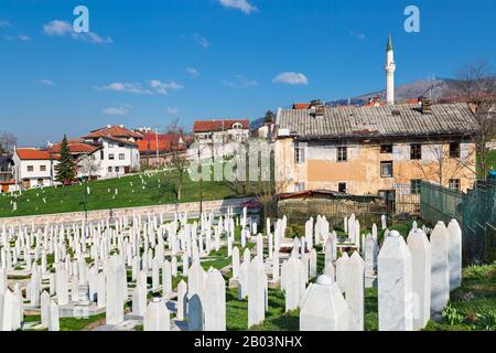 Muslimischer Friedhof, der den Opfern des Bosnienkriegs gewidmet ist, in Sarajevo, Bosnien und Herzegowina Stockfoto