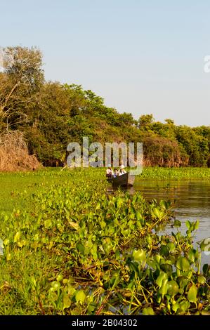 Boot mit Touristen an einem Zufluss des Flusses Cuiaba bei Porto Jofre im nördlichen Pantanal, Provinz Mato Grosso in Brasilien. Stockfoto